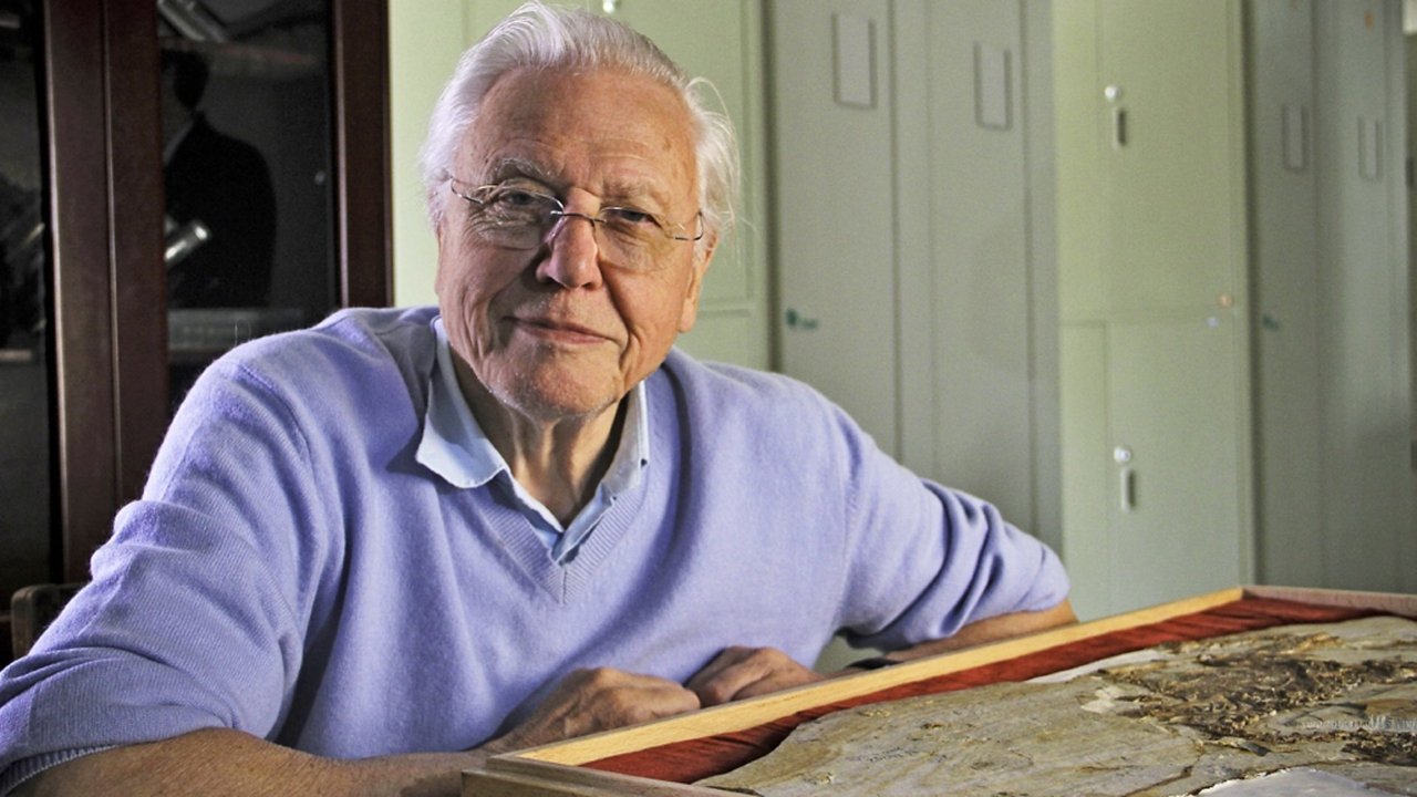 David Attenborough's Rise of Animals: Triumph of the Vertebrates backdrop