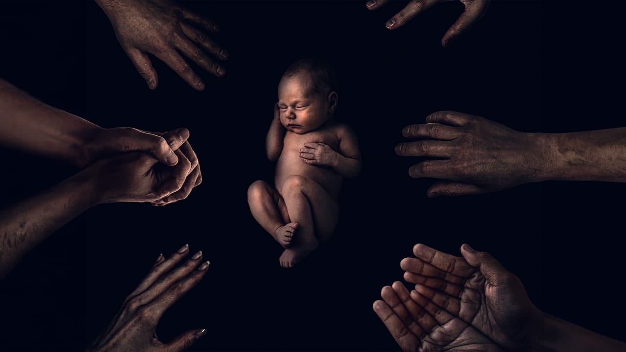 The King Tide backdrop