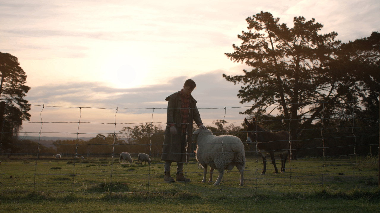 Just an Apartment Please backdrop