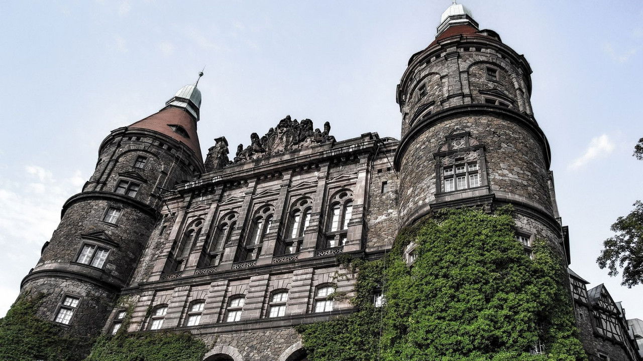 Daisy. Wspomnienie minionego świata backdrop