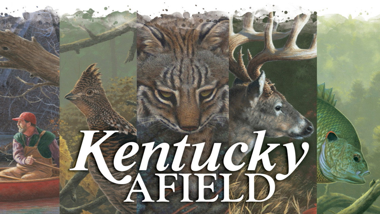 Kentucky Afield backdrop