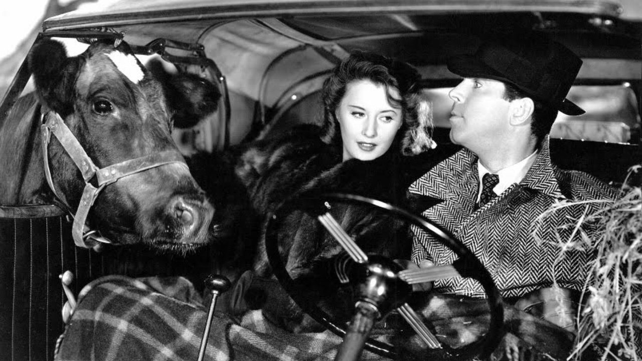 Remember the Night backdrop