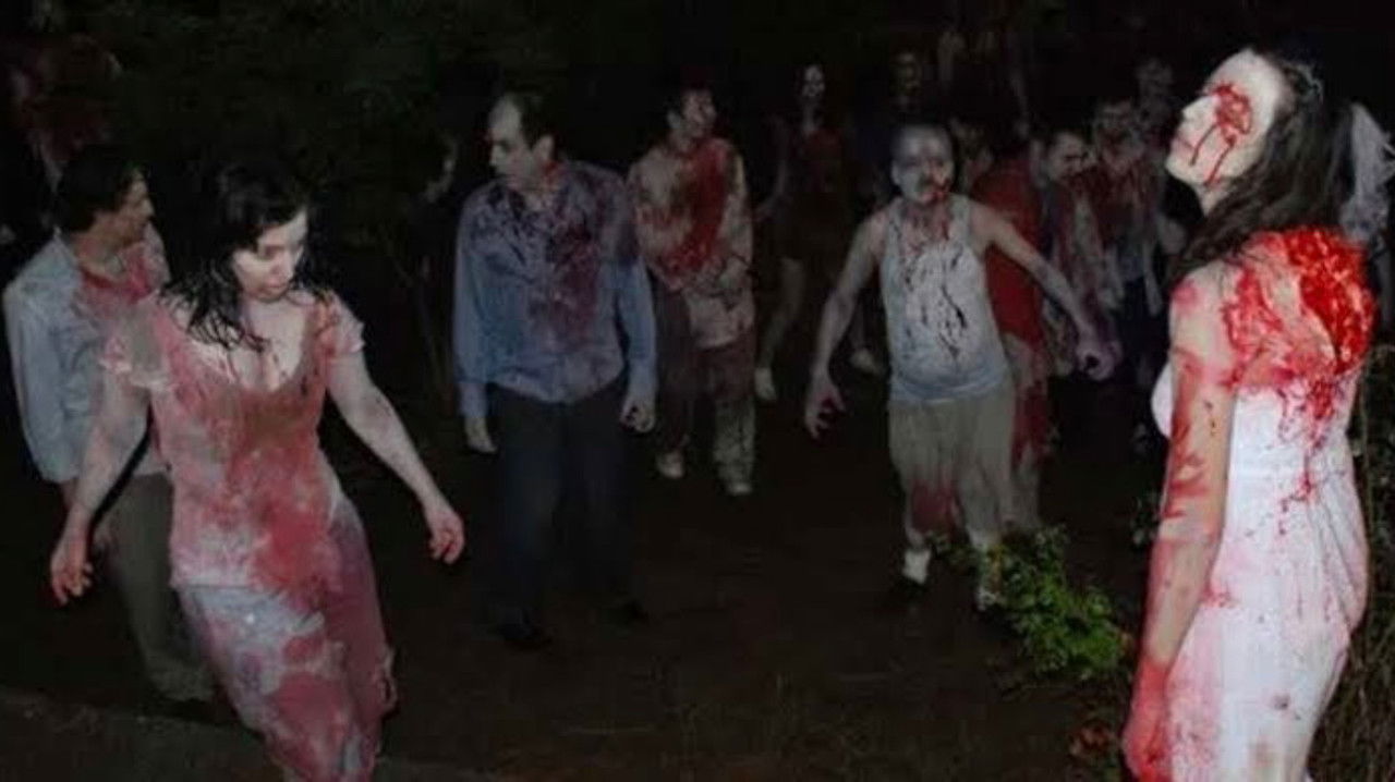 Island: Wedding of the Zombies backdrop