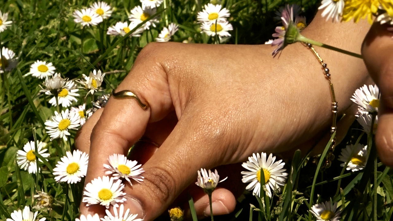 Hand Picked backdrop