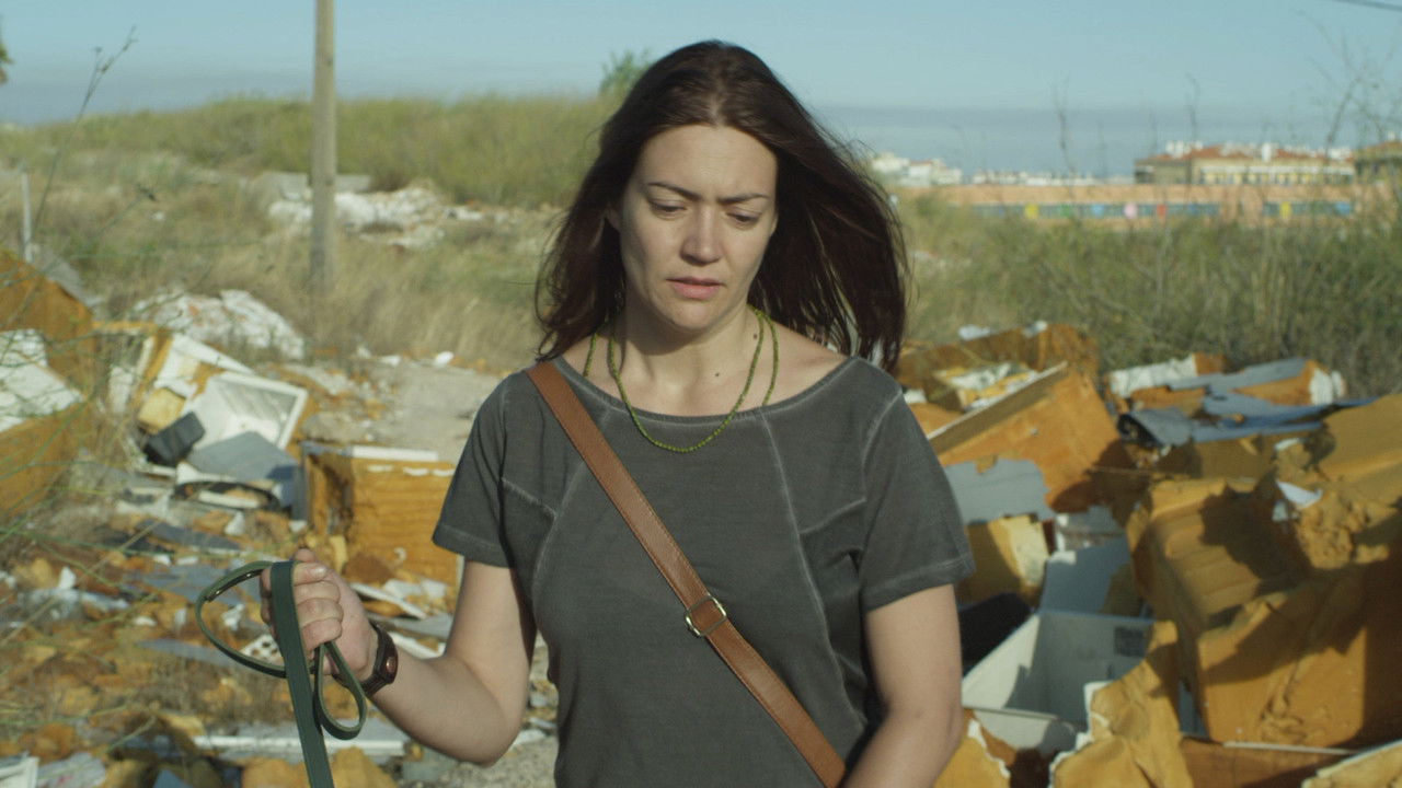 The City and The Sun backdrop