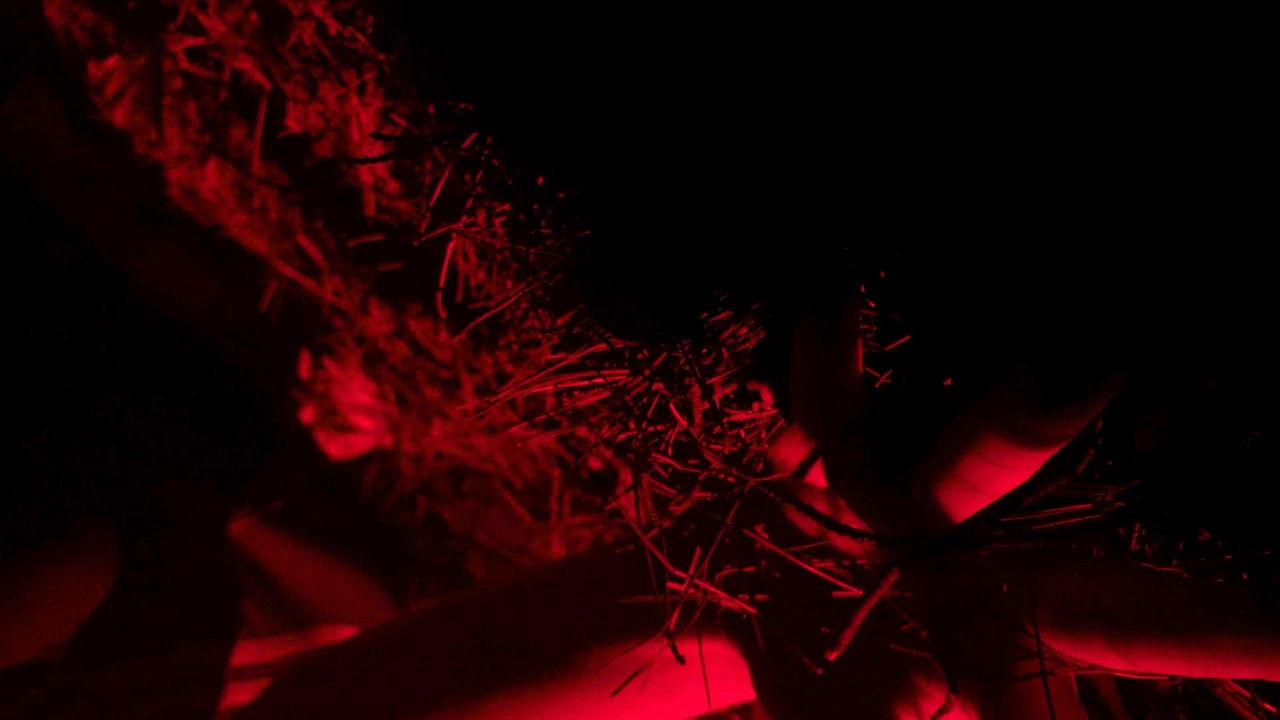 The One Who Sees the Light Must Die backdrop