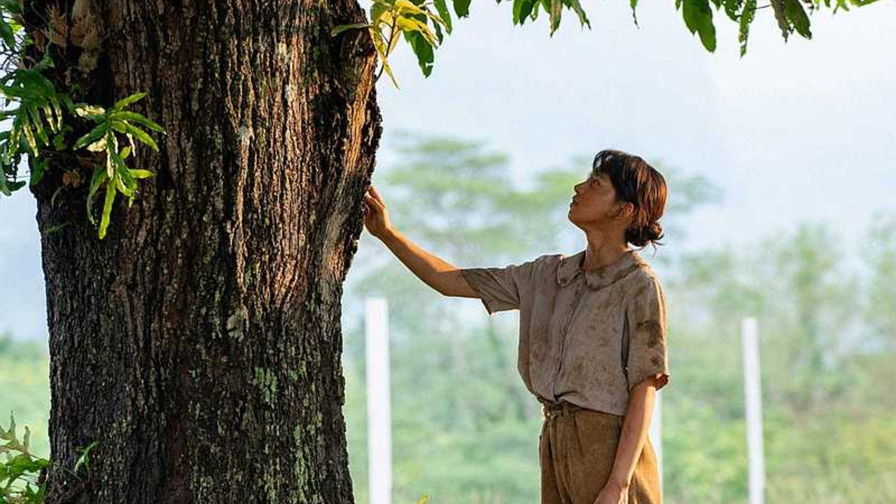 Mango no Ki no Shita de backdrop