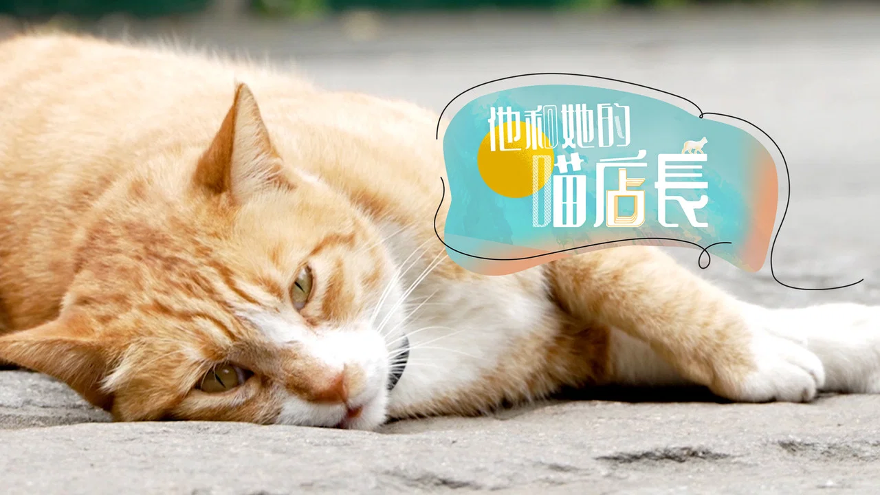 他和她的喵店长 backdrop