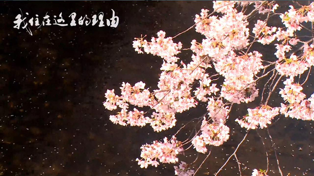 私はここに住む理由 backdrop