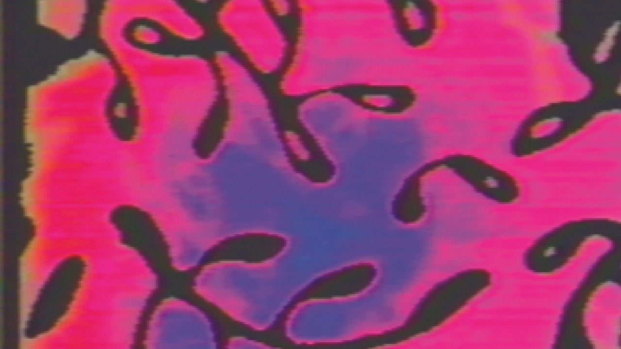 Alchemy of the Word (Altered Video Version) backdrop