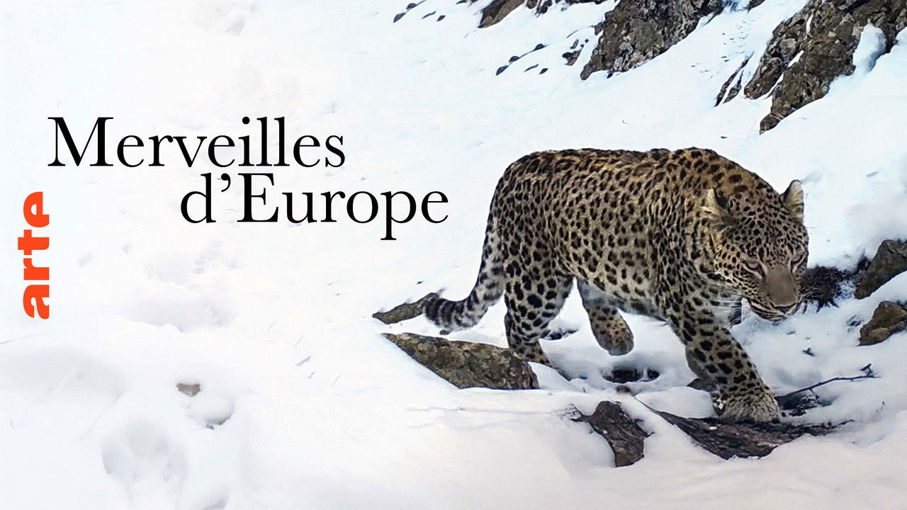 Merveilles d'Europe backdrop