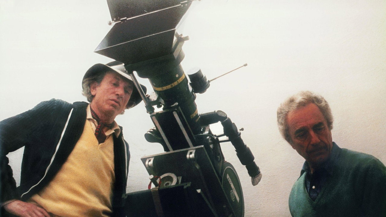 Water and Sugar – Carlo Di Palma: The Colours of Life backdrop