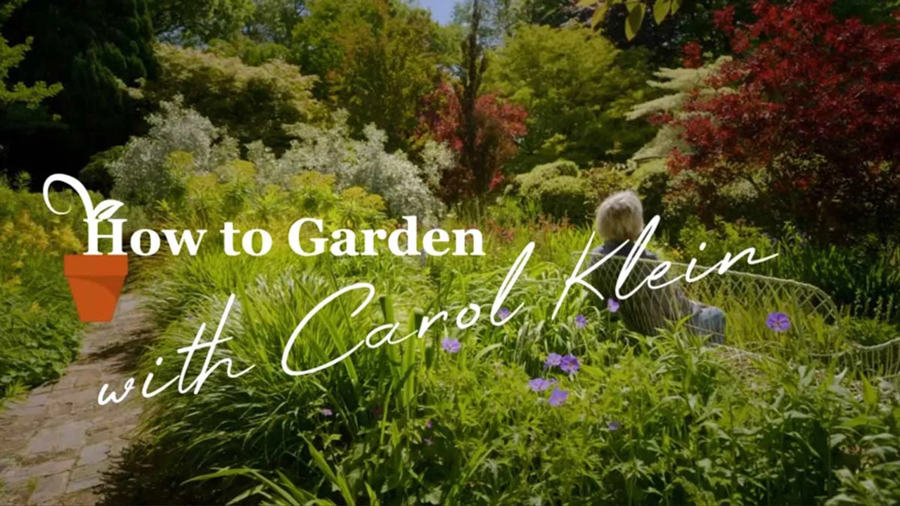 How to Garden With Carol Klein backdrop