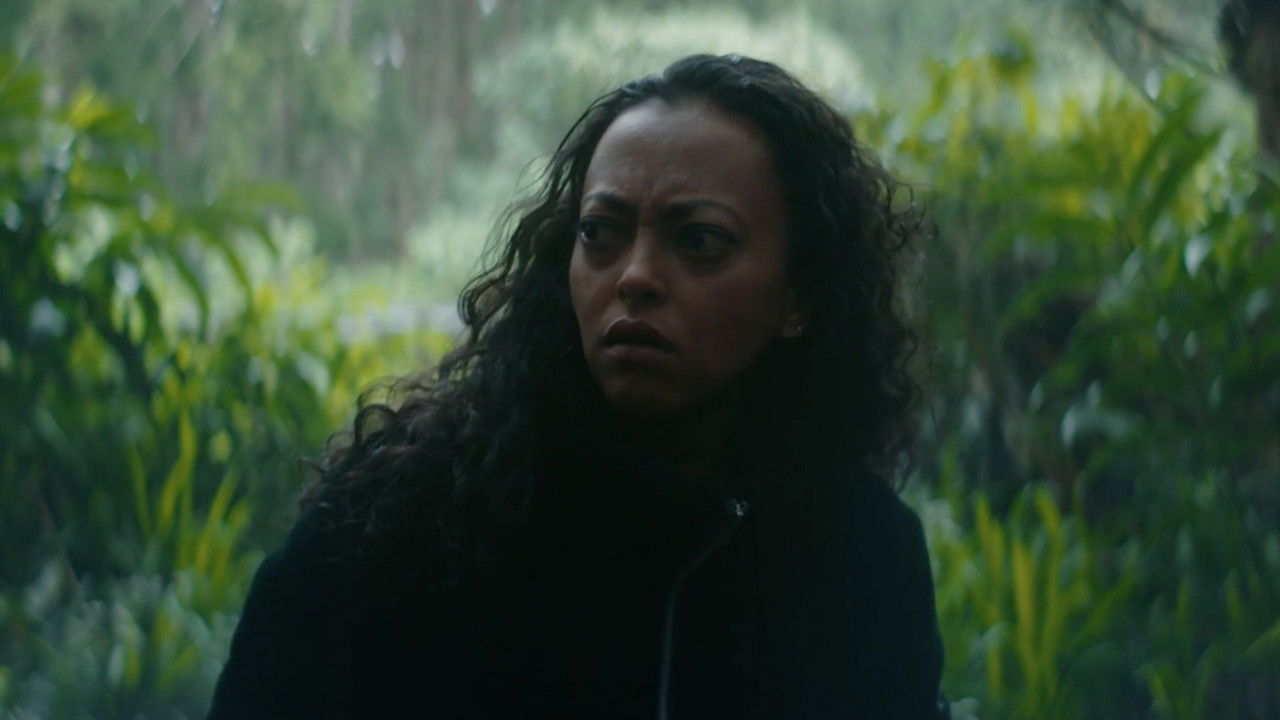 After 6 O'Clock backdrop