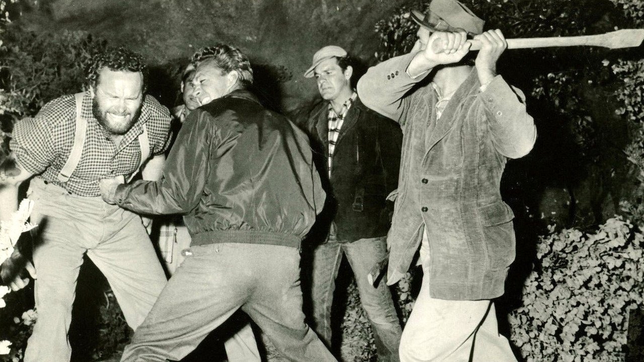 Girl in the Woods backdrop