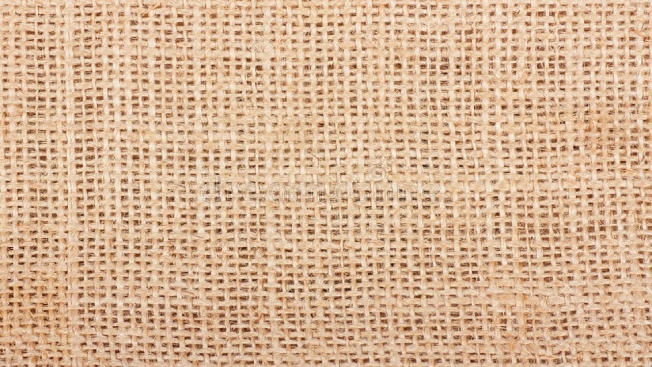 Café com Aroma de Mulher backdrop