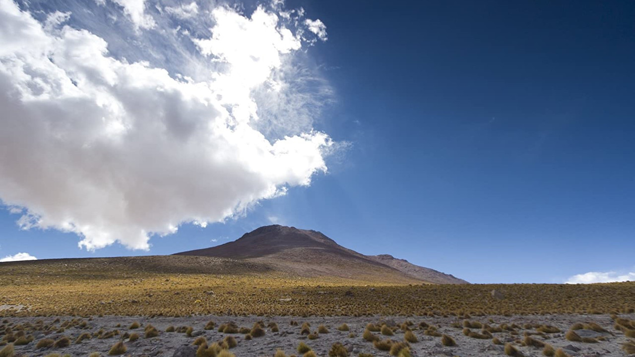 Wildes Lateinamerika backdrop
