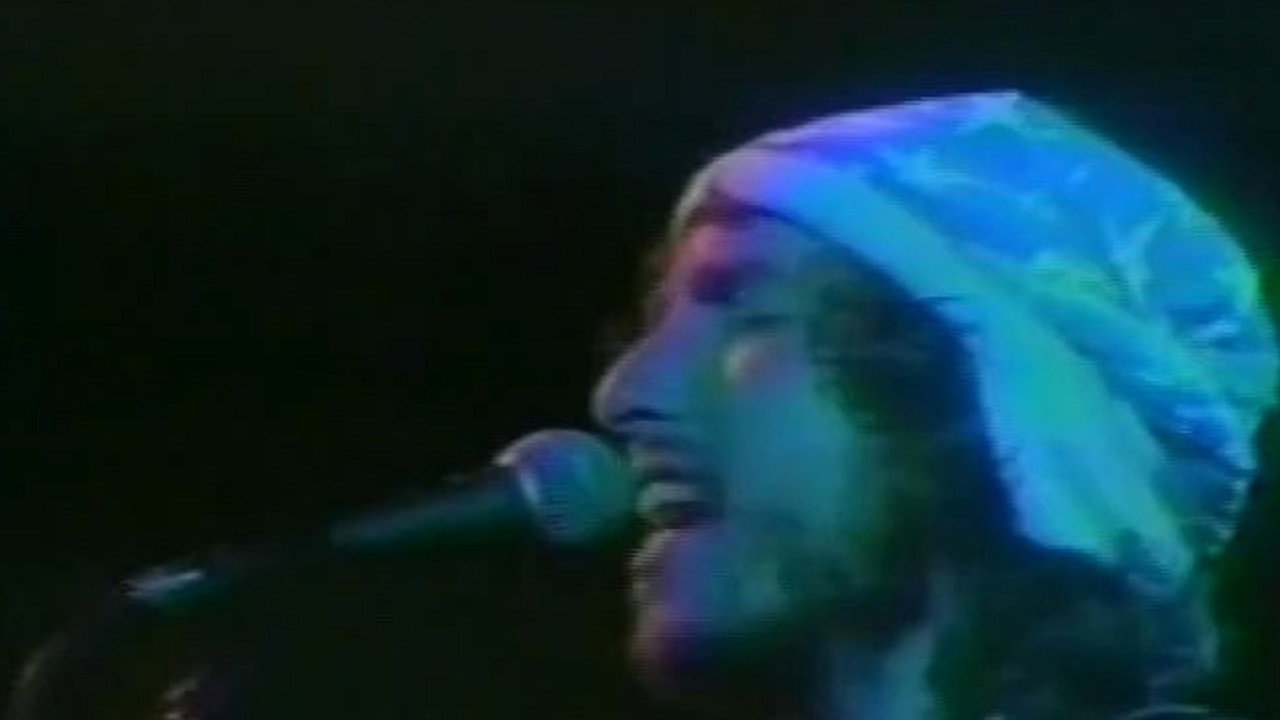 Bob Dylan: Rolling Thunder Revue, Clearwater 1976 backdrop