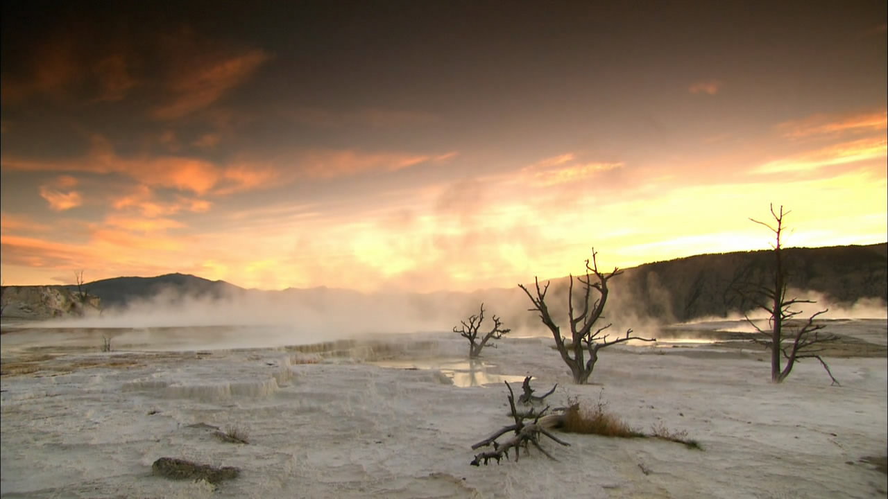 Inside Planet Earth backdrop
