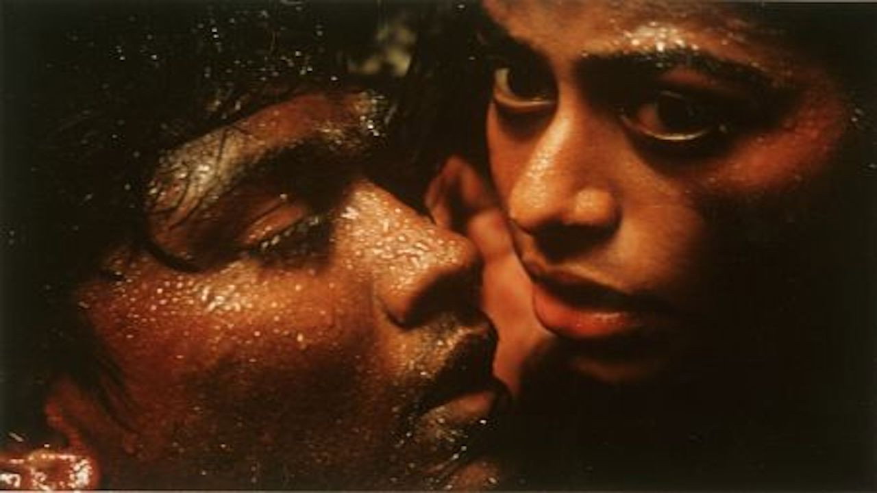 The Terrorist backdrop