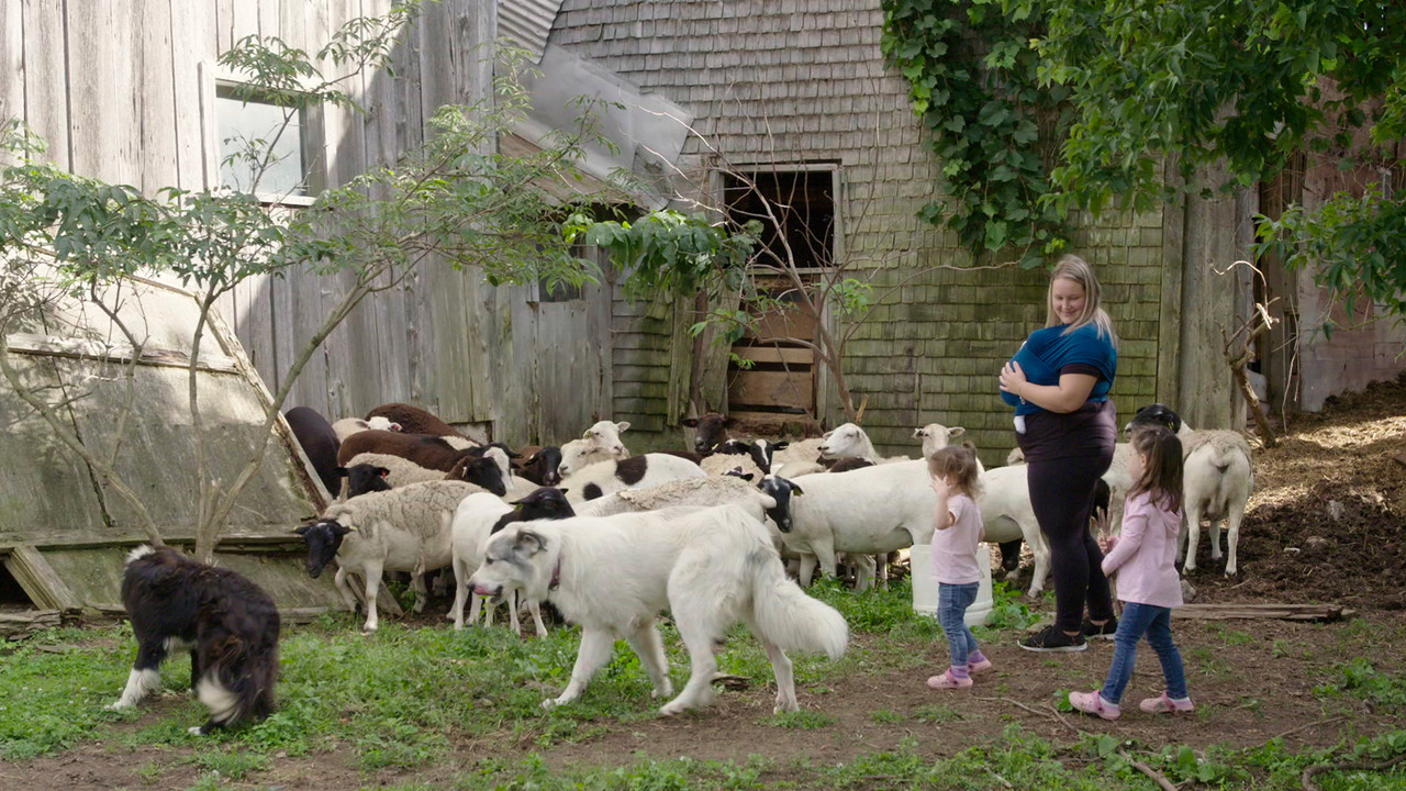 La famille est dans le pré backdrop