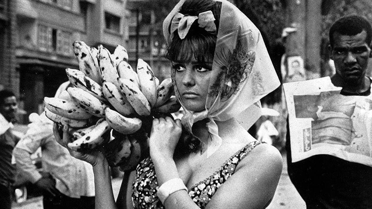 A Rose for Everyone backdrop