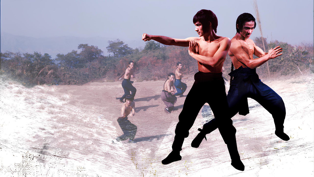 Shaolin Martial Arts backdrop