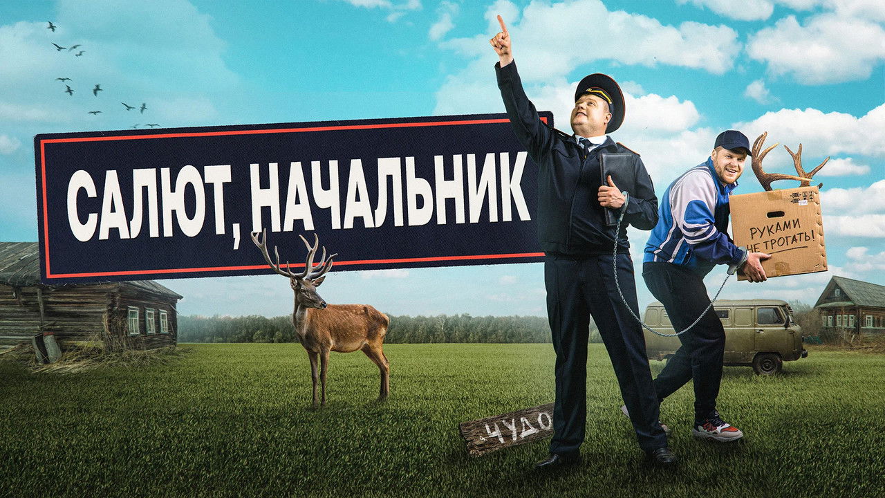 Салют, начальник backdrop