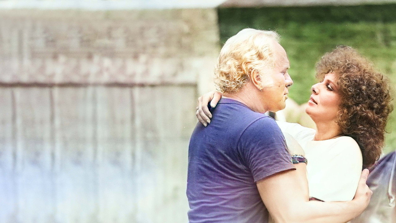 Sol de Verão backdrop