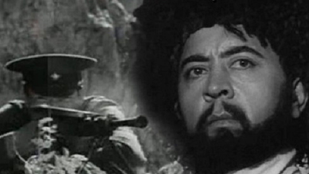 This is Where the Border Goes backdrop