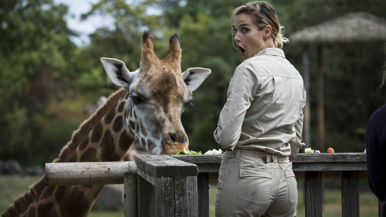 Les Touristes backdrop