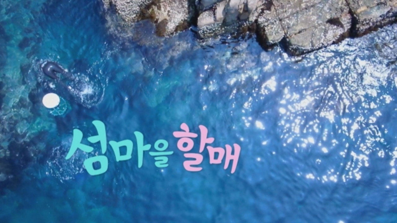 섬마을할매 backdrop