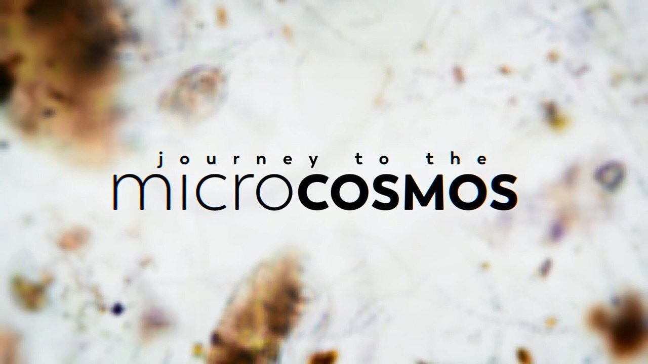 Journey to the Microcosmos backdrop