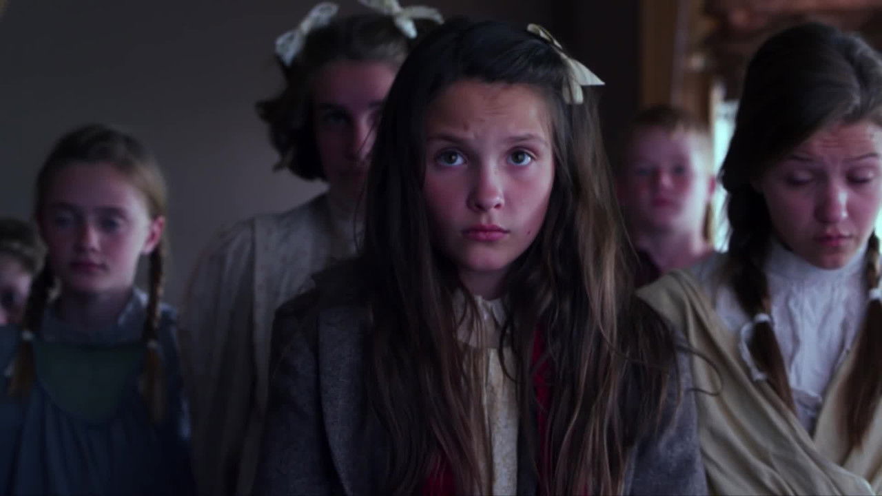 Christmas Oranges backdrop