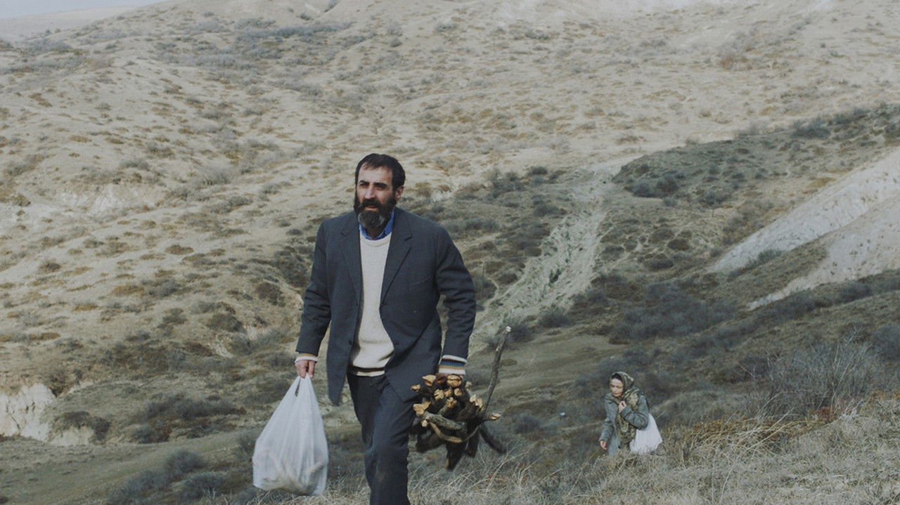 Shadows in Reverse backdrop