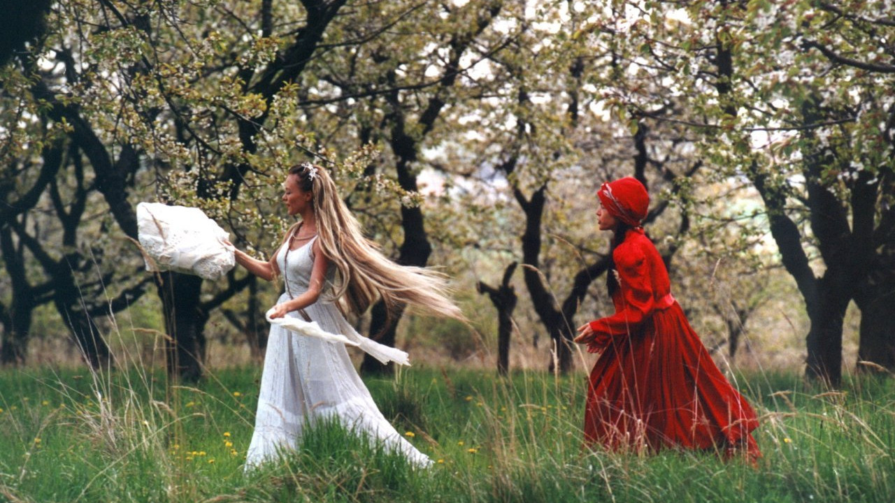 Wild Flowers backdrop