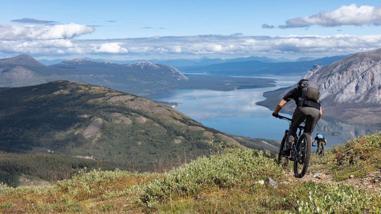 Partis rouler backdrop