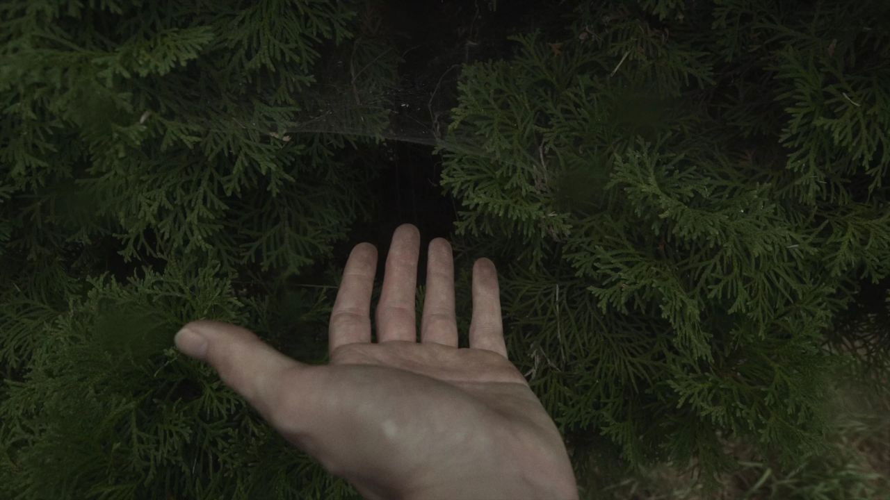 las-líneas-de-mi-mano backdrop