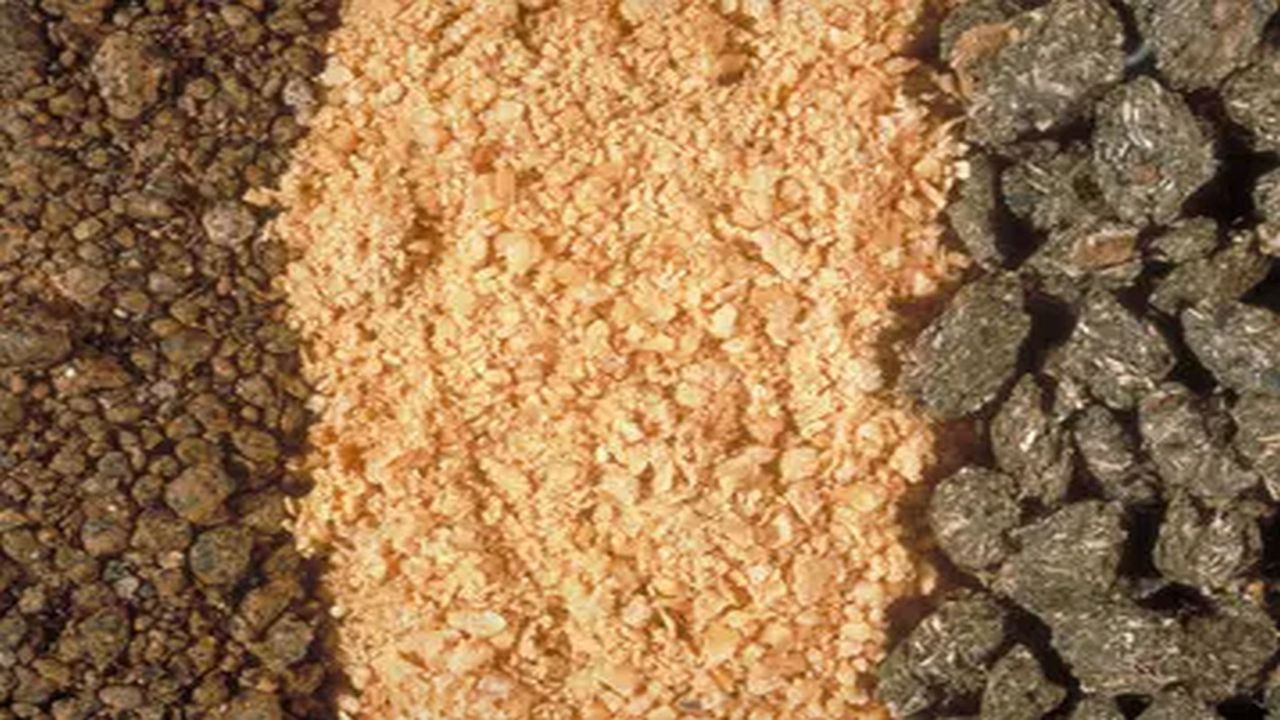 Sacrifice paysan backdrop