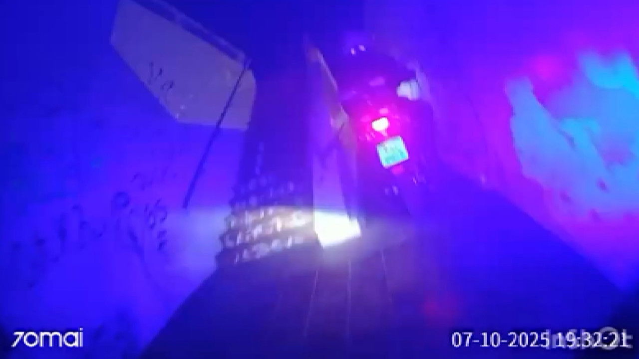 ENTRARÃO NA MINHA CASA, ROUBARÃO TUDO backdrop