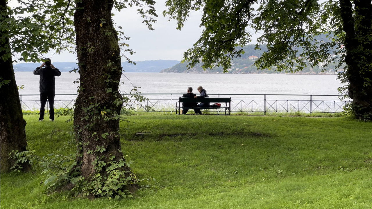 An Image in the Shadow backdrop