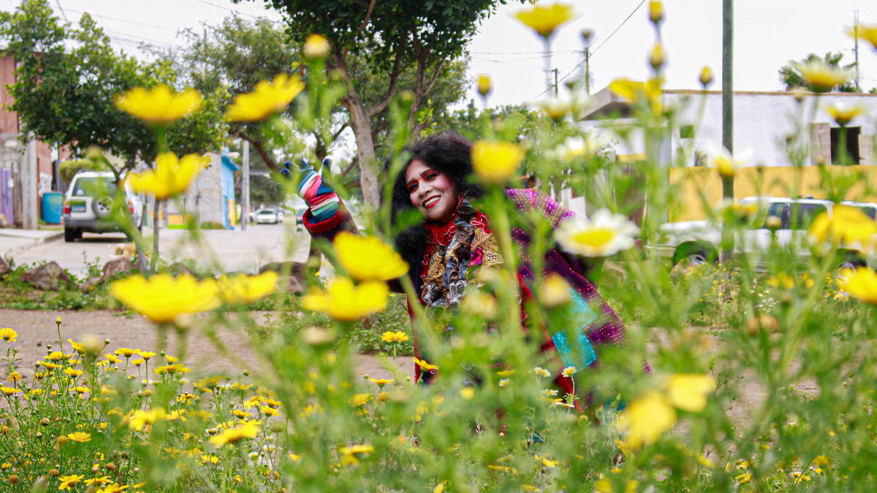 Crazy Wordy Lonely Lady backdrop