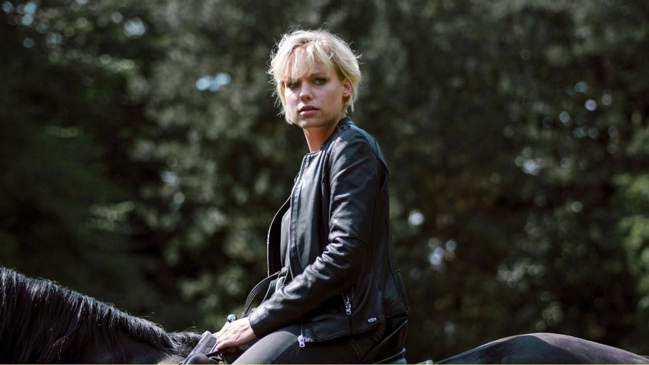 Trakehnerblut backdrop