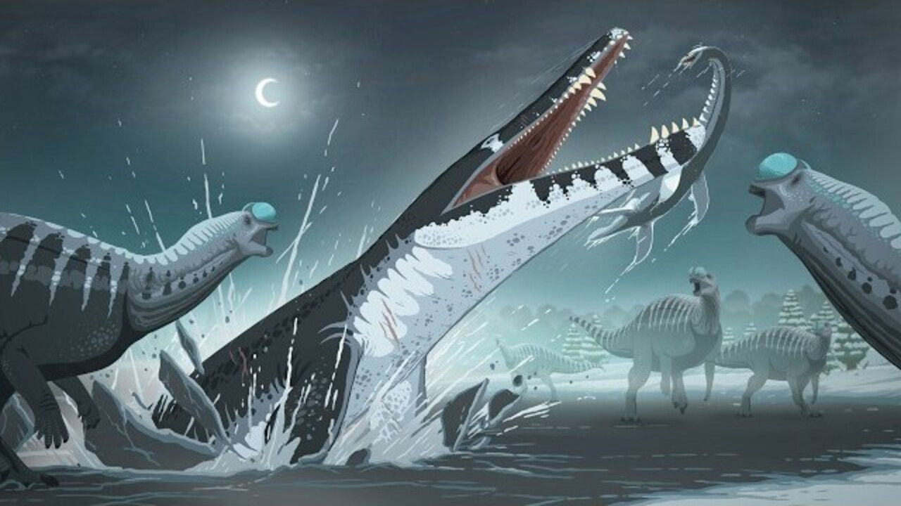 Monsters Down Under backdrop