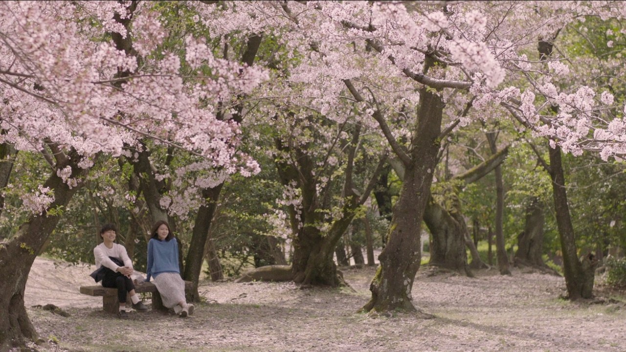 Memories of a Dead End backdrop