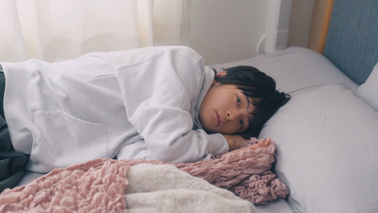 Taking in a Stray backdrop