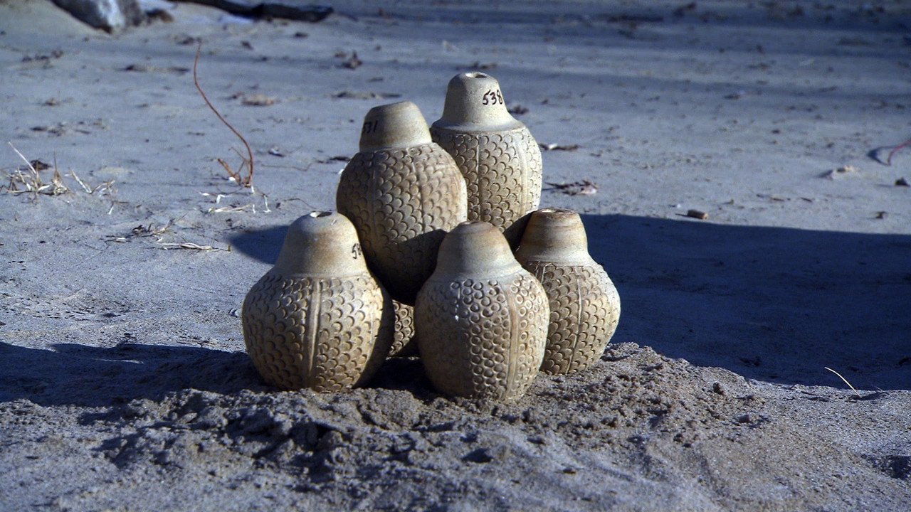 Museum Secrets backdrop