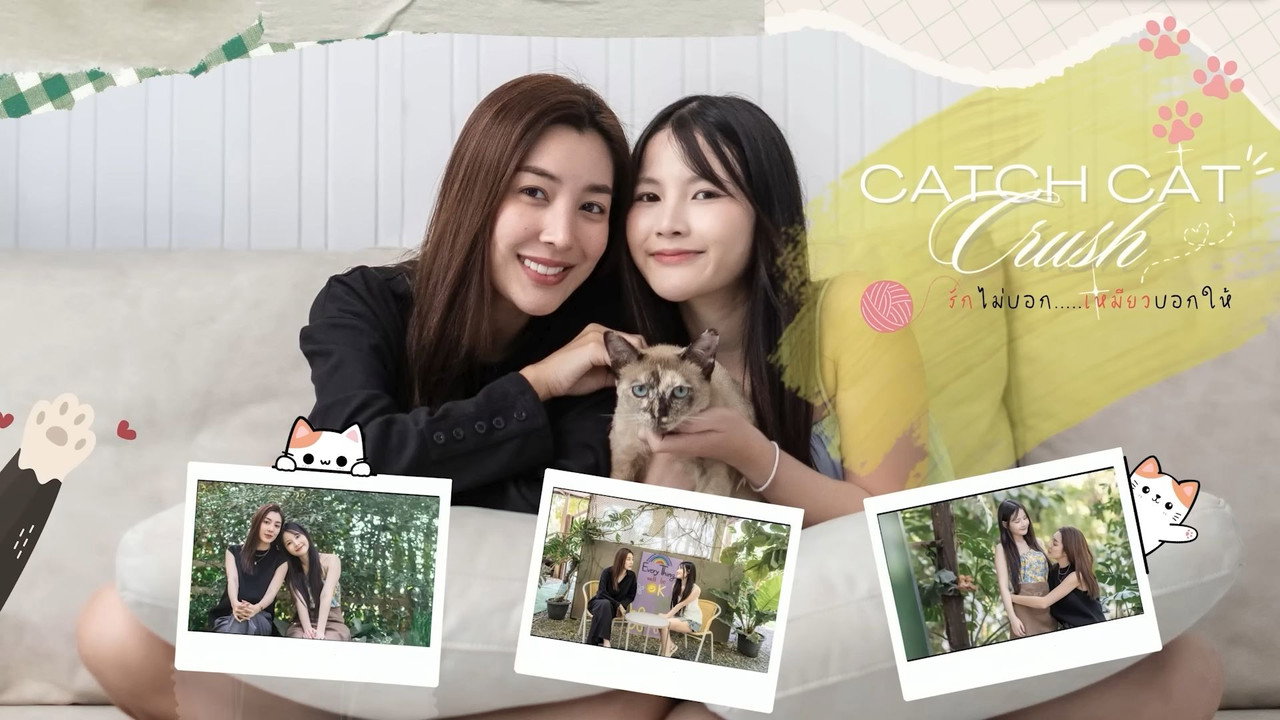 Catch Cat Crush backdrop