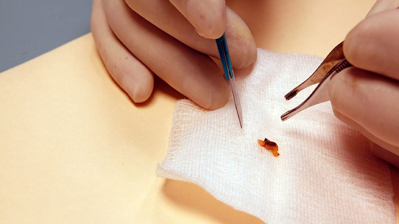 Patient Seventeen backdrop