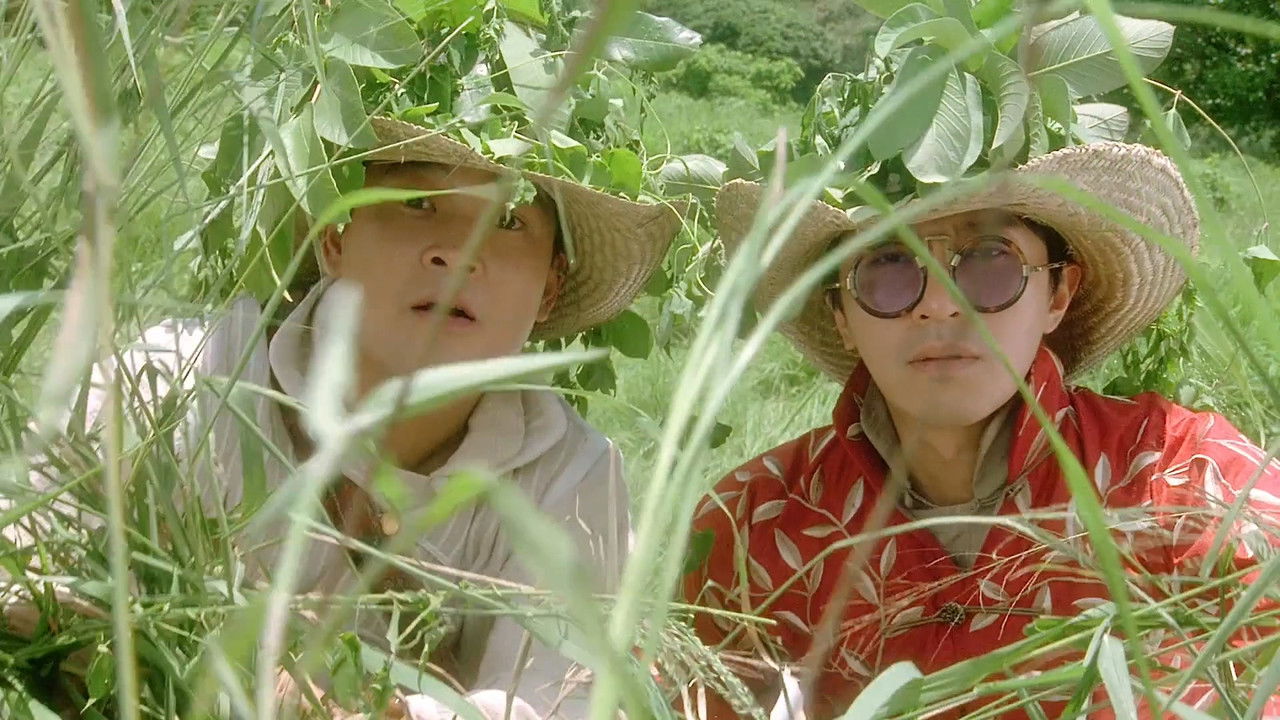 Lawyer Lawyer backdrop